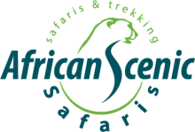 African Scenic Safaris