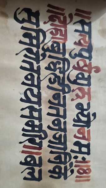 File:Amit2.jpg