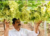 Mekala Shiva Shankar Reddy Main.jpg